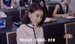 电视剧完美,揭秘人生百态，探寻心灵救赎之路